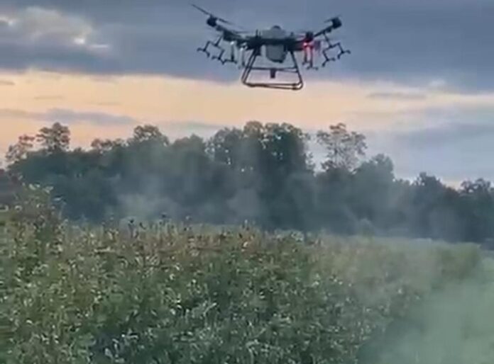 drone