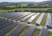 La Consulta decide: legittimo vietare il fotovoltaico su suolo agricolo