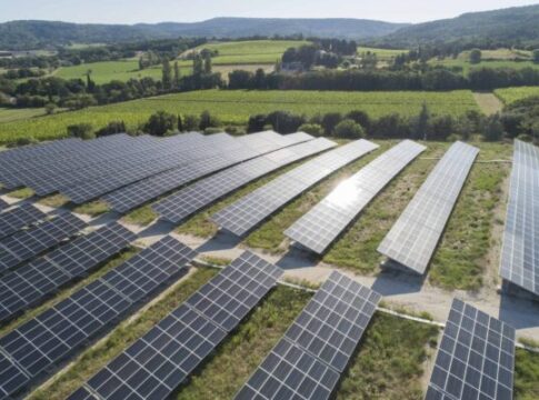 La Consulta decide: legittimo vietare il fotovoltaico su suolo agricolo