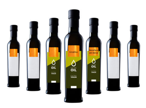 Olio extravergine, il COI riconosce l’identità delle cultivar italiane