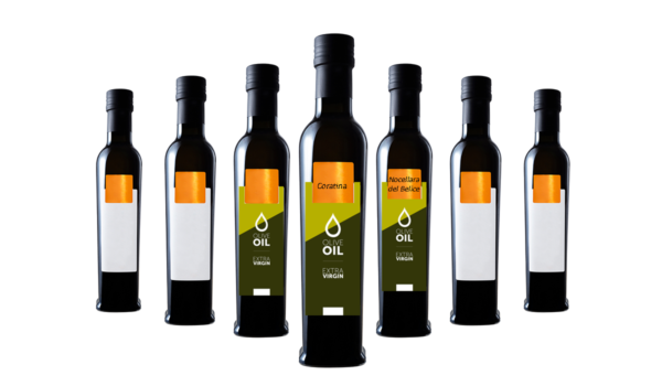 Olio extravergine, il COI riconosce l’identità delle cultivar italiane