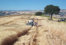 Molise, bando da 10 milioni per agriturismi, fattorie didattiche e agricoltura sociale
