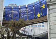 Pac 2028-2034, Bruxelles riscrive il profilo dell’agricoltore