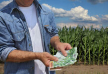 Pac, al via i pagamenti anticipati: 1,67 miliardi agli agricoltori