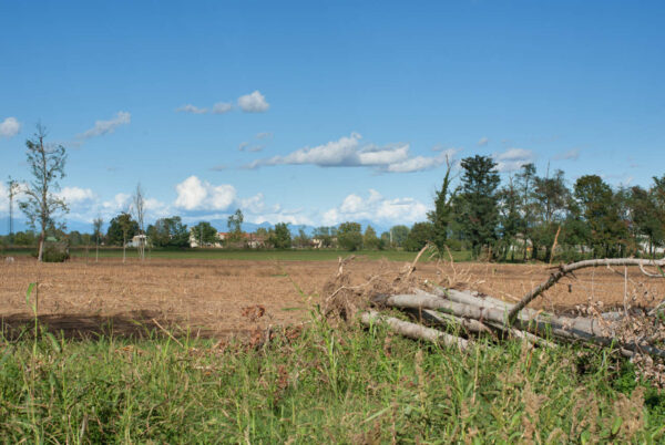 paesaggio di campagna all'inizio dell'autunno