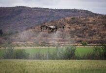Droni agricoli, l’Enac apre ai maxi-Uas droni