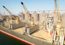 Cereali, il caldo europeo e la crisi del Mar Nero ridisegnano gli equilibri dei mercati