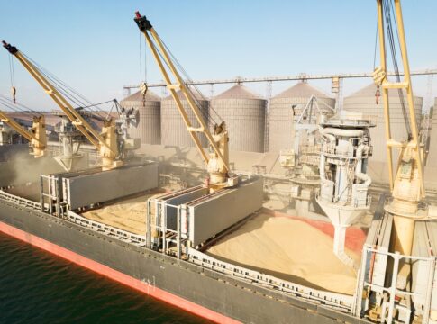 Cereali, il caldo europeo e la crisi del Mar Nero ridisegnano gli equilibri dei mercati