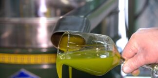 Olio d’oliva, Unapol invoca lo stato di crisi