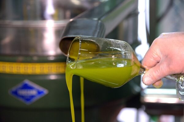 Olio d’oliva, Unapol invoca lo stato di crisi