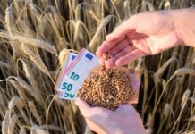 Anticipi Pac, oltre 125 milioni per le aziende di Lombardia e Toscana
