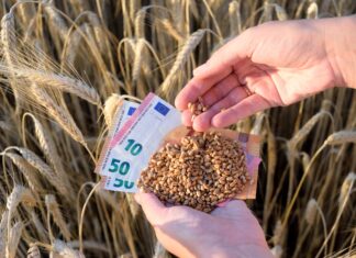 Anticipi Pac, oltre 125 milioni per le aziende di Lombardia e Toscana