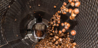 Nocciole, una campagna a due velocità