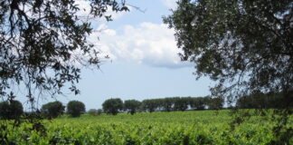 Confagricoltura e Coldiretti