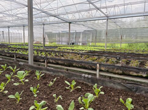 Vivaismo, debutta un nuovo standard di certificazione