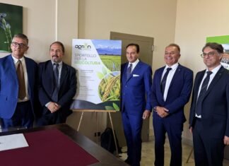 Agrion inaugura a Vercelli lo sportello per la ricerca nella filiera risicola