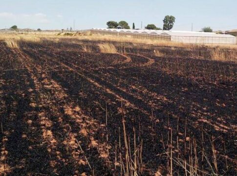 Incendi in Sicilia, le aziende agricole possono segnalare i danni