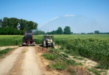 Caldo e siccità, l’agricoltura europea alla prova della resilienza