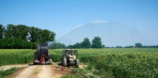 Caldo e siccità, l’agricoltura europea alla prova della resilienza