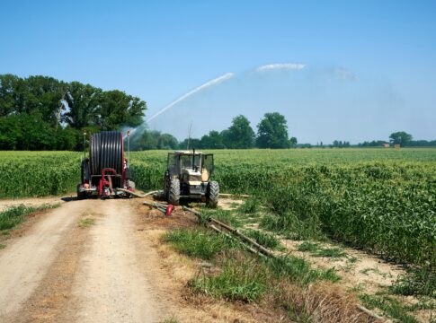 Caldo e siccità, l’agricoltura europea alla prova della resilienza