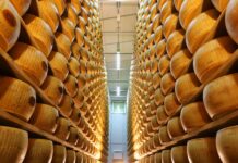 Agroalimentare, in Emilia-Romagna crescono produzione ed export