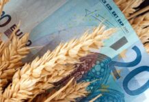 Prezzi agricoli Ue in calo del 5,8% nel secondo trimestre