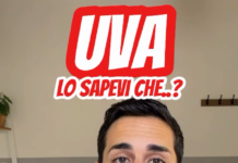 Uva da tavola, Andrea Filipponi racconta cinque curiosità