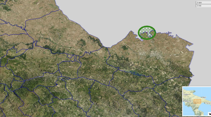 xylella basilicata