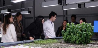 Programma Vita, 40 team candidati per sviluppare nuove tecnologie in agricoltura