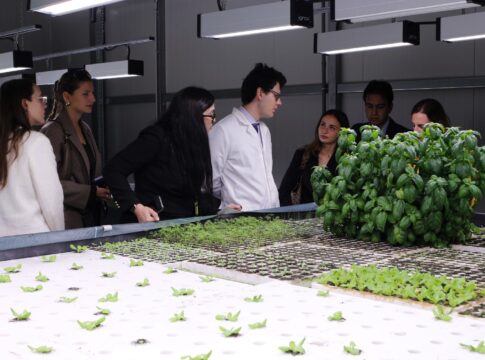 Programma Vita, 40 team candidati per sviluppare nuove tecnologie in agricoltura