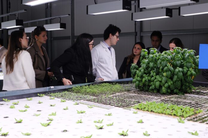 Campus Bio-Medico, programma Open Innovation con Mercedes Benz-Italia