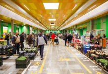 Con climatizzazione e fotovoltaico il mercato di Cesena si rinnova cesena ortomercato