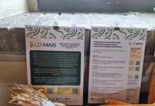 Lo-Mais, un progetto per valorizzare la filiera maidicola lombarda