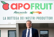 Camion bloccati al Sud, Apofruit denuncia: «Situazione insostenibile»