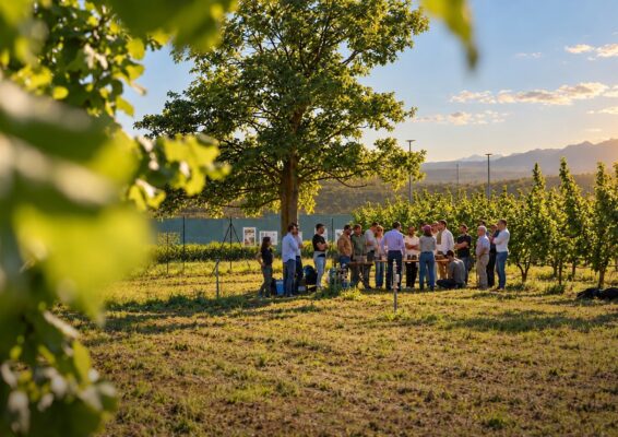 Al via le iscrizioni per la seconda edizione dell’Hazelnut Agronomy Program Al via le iscrizioni per la seconda edizione dell’Hazelnut Agronomy Program