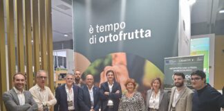 Luv 2026, bilancio positivo per Agrocepi e Op Apoc