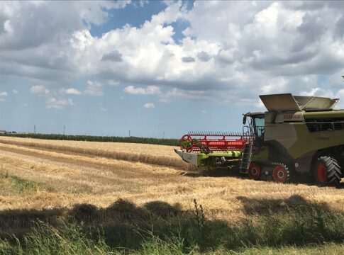 Orzo da malto, il valore non si ferma al campo
