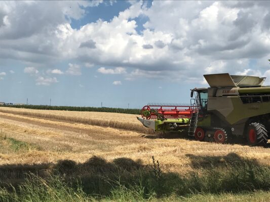 Orzo da malto, il valore non si ferma al campo Orzo da malto, il valore non si ferma al campo