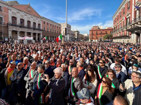 Chieste misure urgenti per il comparto olivicolo-oleario orgoglio olivicolo