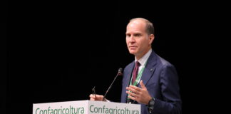 Massimiliano Giansanti