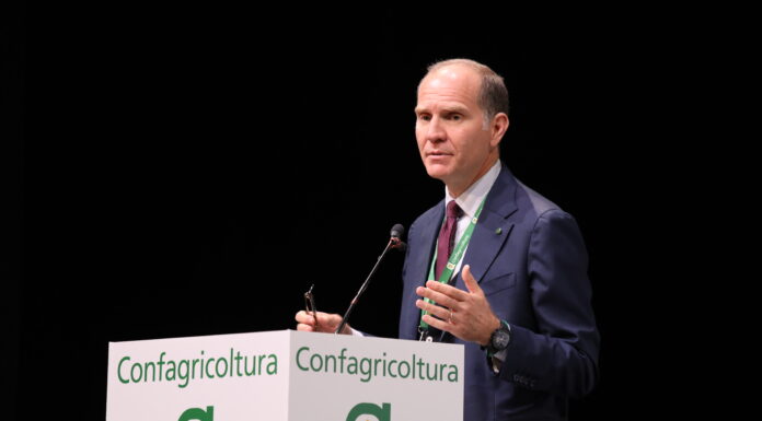 Massimiliano Giansanti