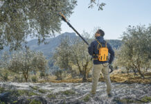 Olive: la raccolta punta su leggerezza e autonomia