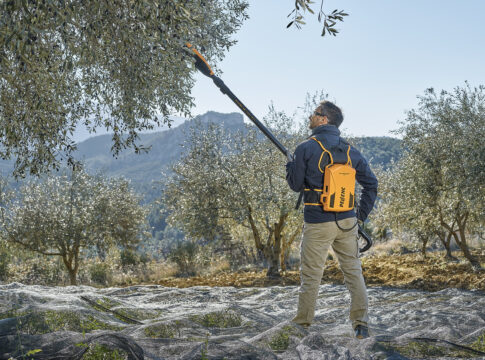 Olive: la raccolta punta su leggerezza e autonomia