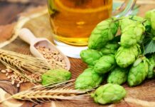 La birra chiama i campi italiani