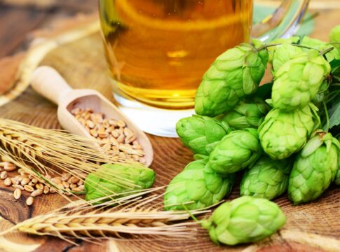 La birra chiama i campi italiani