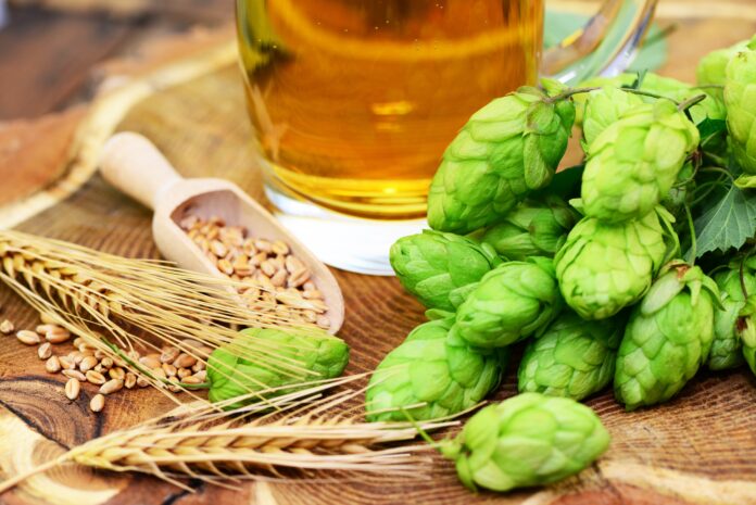 Repetti_birra_018_2026_orzo_luppolo