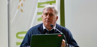 Italia ai vertici del Consiglio Oleicolo Internazionale con Gennaro Sicolo