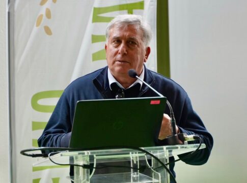 Italia ai vertici del Consiglio Oleicolo Internazionale con Gennaro Sicolo