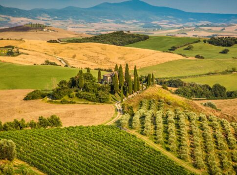 Dop economy, la Toscana vale oltre 1,3 miliardi di euro