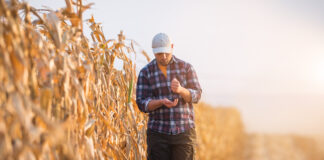 Settore agricolo, ecco chi può essere inquadrato